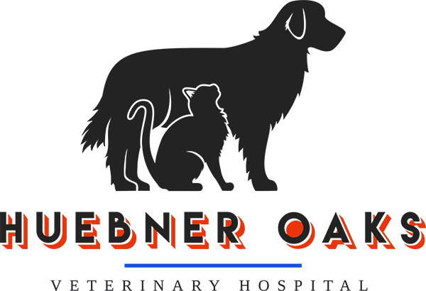 Huebner Oaks Veterinary Hospital